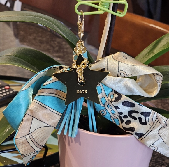 Dior Handbags - Christian Dior Star Bag Charm w/Clasp, Tassel, and Twilly Added